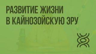 Развитие жизни в кайнозойскую эру. Видеоурок по биологии 11 класс