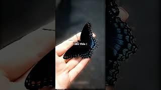 𝕃𝕚𝕜𝕖 𝕥𝕙𝕚𝕤...... ┈┈┈•༶𝓜𝓲𝓼𝓼 𝓳𝓮𝓸𝓷
