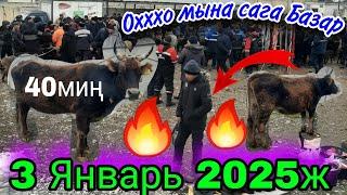 Охххххо мына сагаМал базарөрт болуп жатат дешти.3 Январь 2025ж.Тез көрүңүз.Жалал-Абад обл.Ноокен