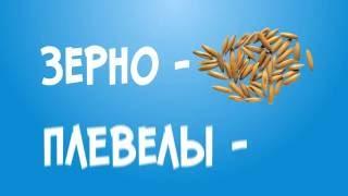 Отделение зёрен от плевел. Что поменялось за 40 лет?