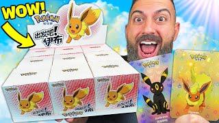 Pokemon's Secret $150 Box Has EVERY Eevee Card Inside!