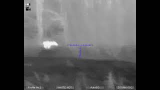 Охота на волка с Leader TWS/ Hunting wolves