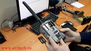 Фотоловушка Bolyguard BG668 E36WG обзор