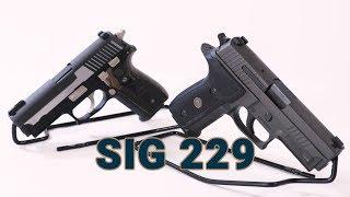 Found on Guns.com: Sig 229