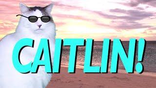 HAPPY BIRTHDAY CAITLIN! - EPIC CAT Happy Birthday Song