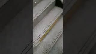 통영시청2 청사 유튜브배우기