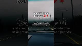 BEAUTIFUL QURAN RECITATION ️  #quranaudio #recitationofquran #islamicrecitation #islamicprayer