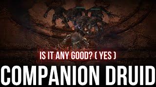 NEW COMPANION DRUID IS AMAZING -  Diablo 4 Vessel of Hatred PTR BEST DRUID BUILD