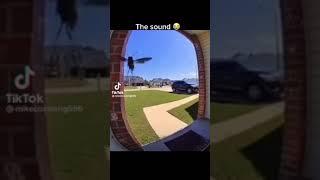 Smart fly