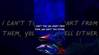 Zeli - Sharks (Lyrics) #shorts #ncslyrics #sharks