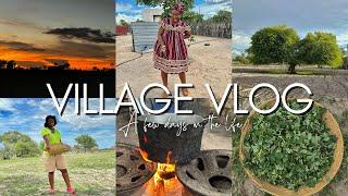 A NAMIBIAN VILLAGE VLOG | My first time harvesting | Village Homemaking | Learning new things |