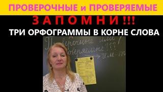 ПРОВЕРОЧНОЕ ИЛИ ПРОВЕРЯЕМОЕ???//ТРИ ОРФОГРАММЫ В КОРНЕ//ЗАПОМНИТЬ ЛЕГКО!!!