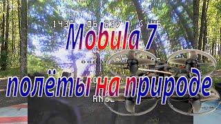 Квадрокоптер Mobula 7 полеты по FPV на природе