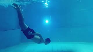 Aquapark Reda| Saunarium | Papugarnia | Gadoland | Zielona Wioska