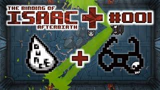 Double Wizard - The Binding of Isaac Afterbirth+ Random Runs - #001