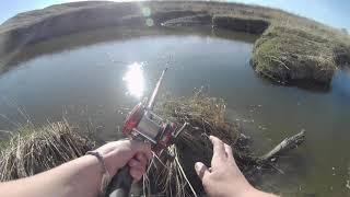 Catfishing Basics