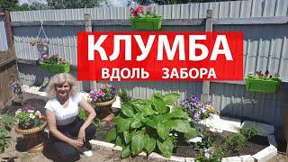 Что посадить под забором  Клумба своими руками