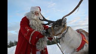 Mikulás, Mikulás kedves Mikulás  -   Mikulás dalok csokorba szedve.