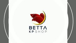 DUMBO HM WHITE BIGEER NGƯỜI THÁI NHẬP TỊCH VN L. KP BETTA SHOP