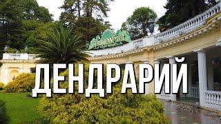 Дендрарий - зелёное сердце курорта Сочи