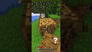 Minecraft But Its IMPOSSIBLE DIFFICULTY #minecraft #gaming #shorts