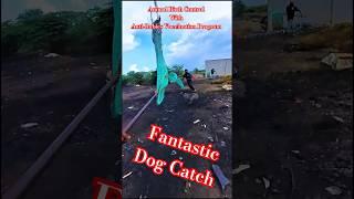 High Running Dog Catch Insta x5 #dog #streetdogplanet44 #pets #catch #rescue