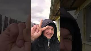окрол крольчихи | жизнь крольчихи | деревенская жизнь