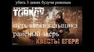 Тарков квест егеря путь выживальщика раненый зверь