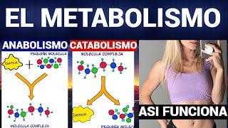¿QUÉ ES EL METABOLISMO, CATABOLISMO y ANABOLISMO?