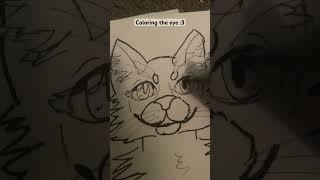 Drawing Cinderpelt/heart from warrior cats :3 {. #art #cinderpelt #warriors #warriorcats #drawing .}