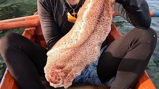 Cleaning & Eating Raw Giant Sea Cucumber! 