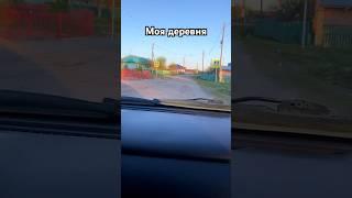 Моя деревня