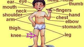 Parts of body | body parts | know your body |  teachers' help