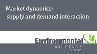 Market dynamics: supply and demand interaction