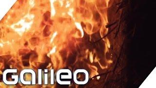 Schützt das Innenleben von Windeln vor Feuer? | Finde den Lügner | Galileo | ProSieben