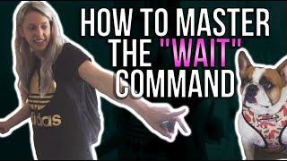 HOW TO MASTER THE "WAIT" COMMAND