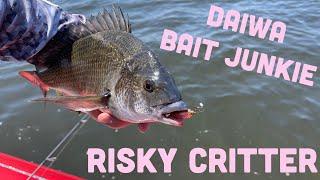 Daiwa Bait Junkie - Risky Critter session