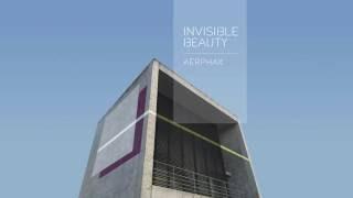 AERPHAX - Invisible Beauty