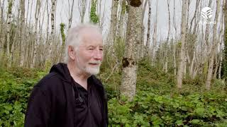 Retired farmer left with 'tree graveyard' due to ash dieback