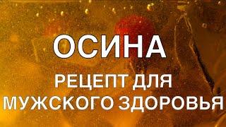 ВОСТАНАВЛИВАЕТ МУЖСКУЮ СИЛУ  ЖИЗНЬ БЕЗ ПРОСТАТИТА  ОСИНА КАК ЛЕКАРСТВО