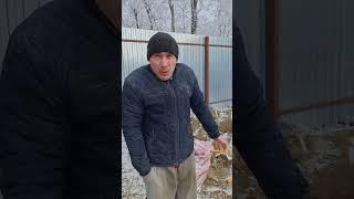С Новым годом! #санечек #санянепонял #стройка #работа #юмор #прикол #смешно.