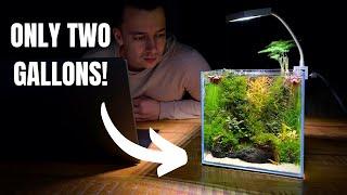 I Made a Mini DESK AQUARIUM Without a Filter! (Aquascape Tutorial)