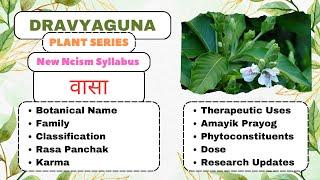 VASA | Dravyaguna Plants Series |#bams2ndyear #plants #dravyaguna #cough #blooddisorder