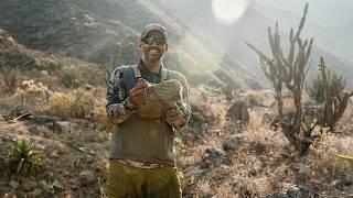 South America Upland Slam - Peru |  Mark V. Peterson Hunting