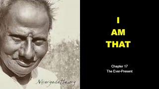 Chapter 17 - I Am That, Sri Nisargadatta Maharaj