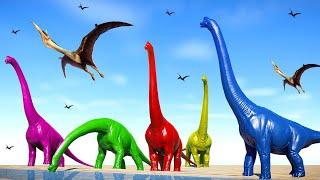 NEW ! Dinosaur Brachiosaurus Colors vs Big Dinosaurs Tyrannosaurus Rex Fighting  T-Rex  vs I-Rex