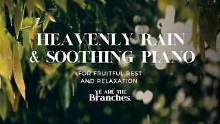 GET SOME REST// Heavenly Rain + Soothing Piano for Fruitful rest & Relaxation |8 HOURS| #asmr #lofi