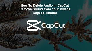 How To Delete Audio in CapCut | Remove Sound from Your Videos | CapCut Tutorial