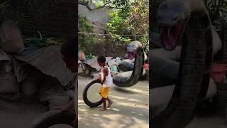 Anaconda Snake in real life P40#shorts#snake #python #snakes #nagin#anaconda #bigsnake #viralVideo