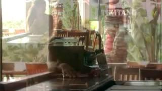 CoolTimeJazz - Spain